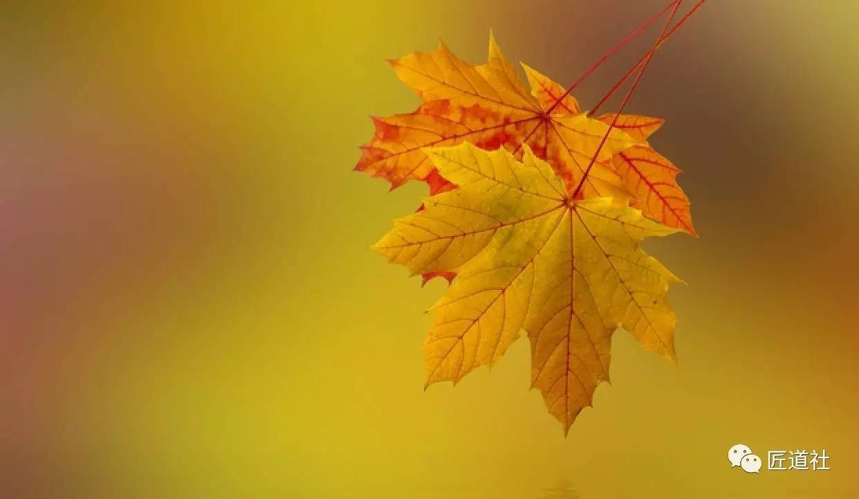 蔣小華：你的品格與修養(yǎng)，為何一看便知？